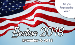 Stanton Election Voter Guide Nov 6